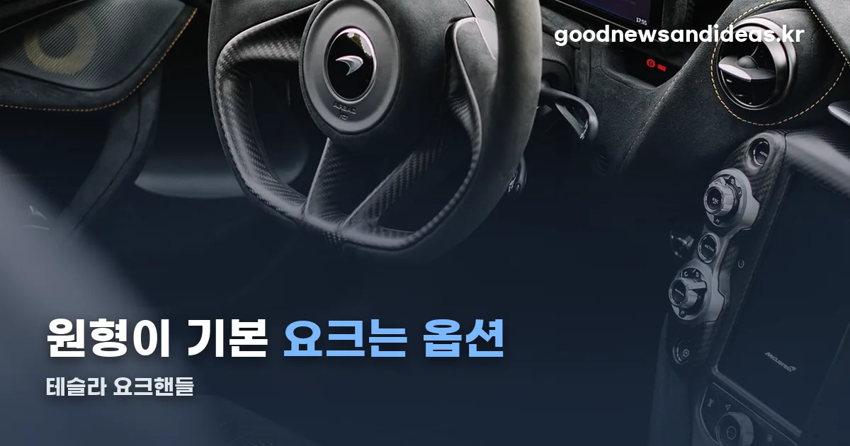 테슬라 요크핸들 정리 썸네일