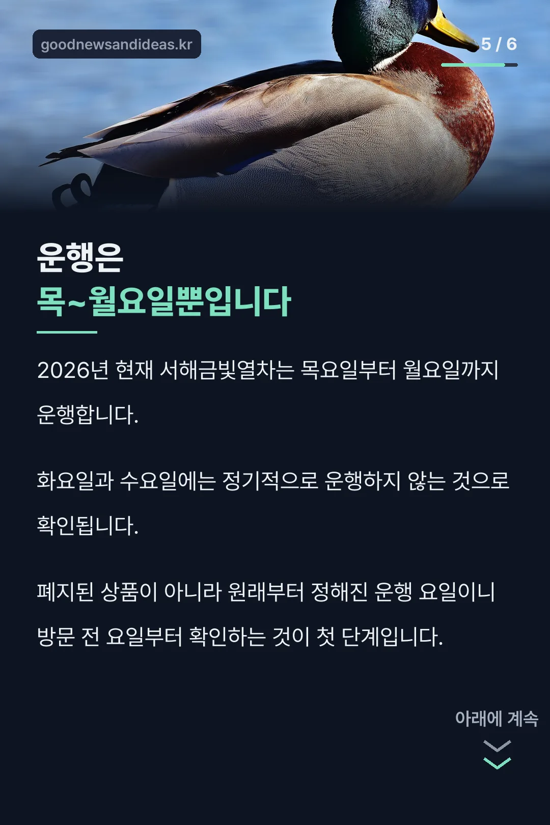 운행 요일 안내