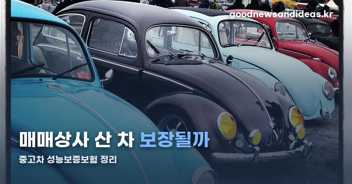 중고차 성능보증보험 정리 썸네일